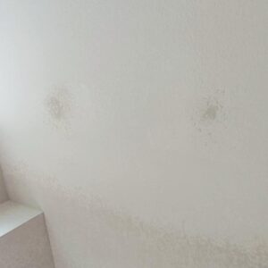 Our-Work-leons-drywall (3)